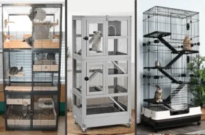 12 Vital Chinchilla Cage Setup For Happy And Healthy Companion